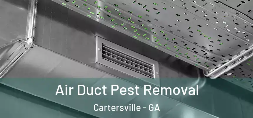 Air Duct Pest Removal Cartersville - GA