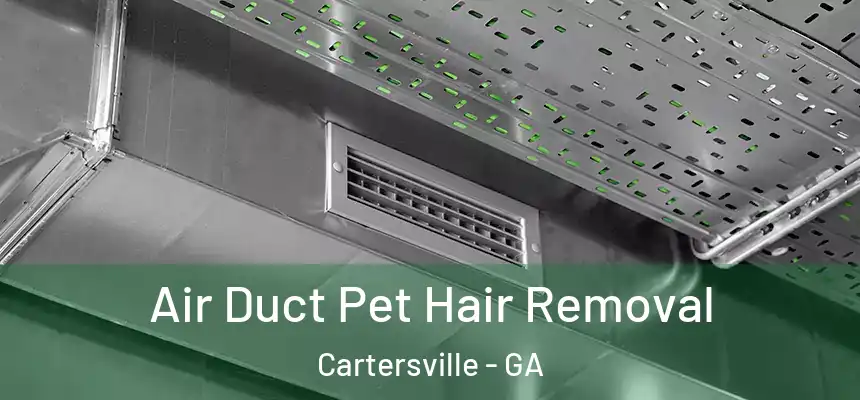 Air Duct Pet Hair Removal Cartersville - GA