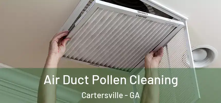  Air Duct Pollen Cleaning Cartersville - GA