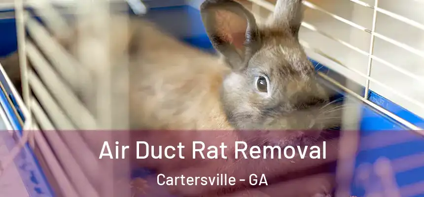  Air Duct Rat Removal Cartersville - GA
