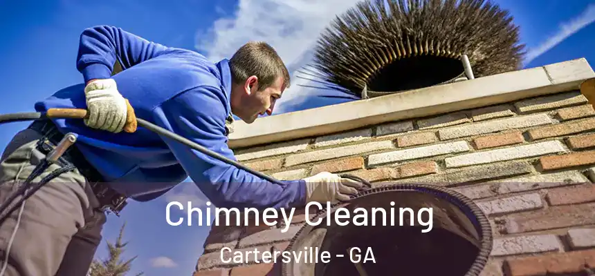  Chimney Cleaning Cartersville - GA