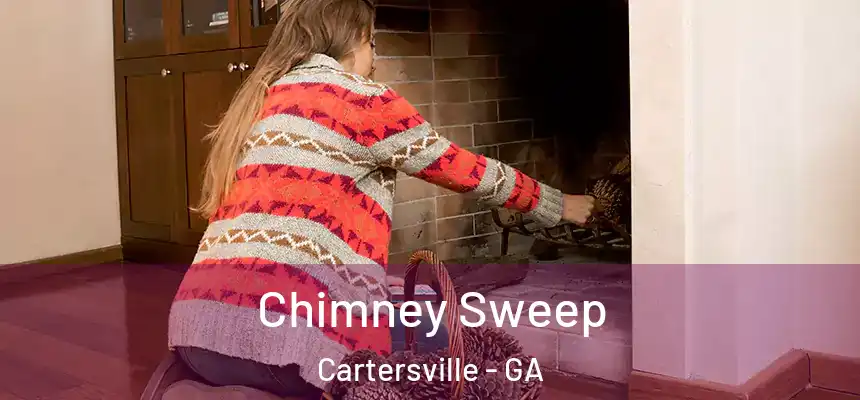  Chimney Sweep Cartersville - GA