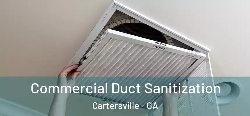  Commercial Duct Sanitization Cartersville - GA