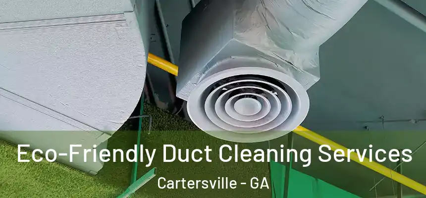 Eco-Friendly Duct Cleaning Services Cartersville - GA