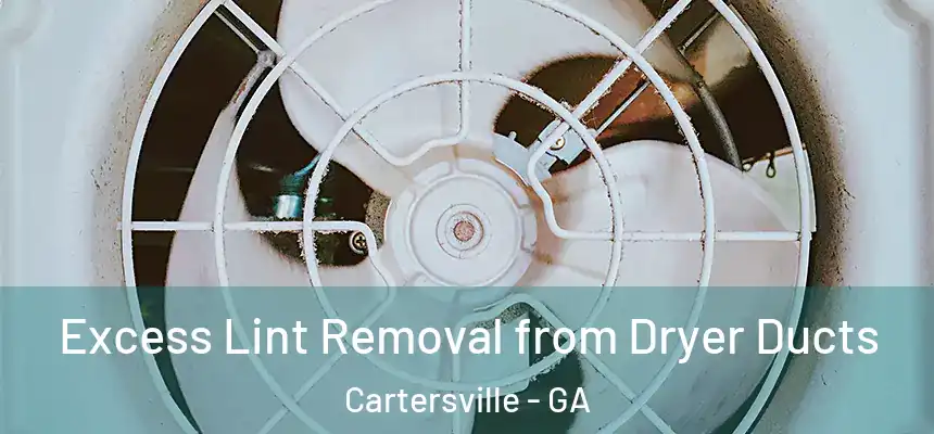  Excess Lint Removal from Dryer Ducts Cartersville - GA
