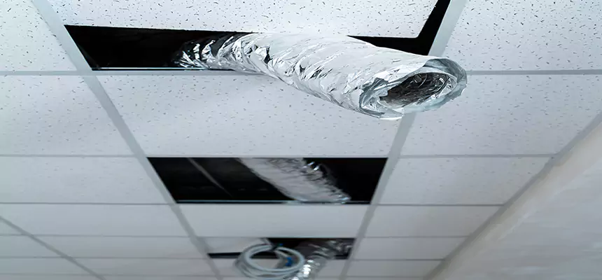 Affordable HVAC Sanitizing After Pest Removal in Cartersville