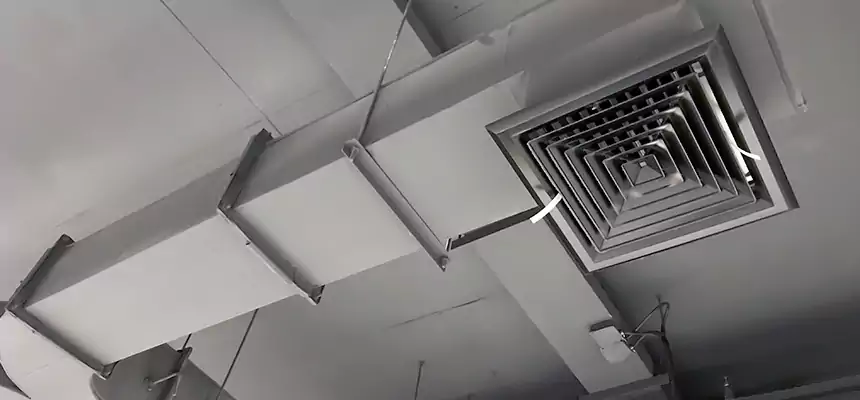 Restorative Allergy Relief Vent Cleaning – Coil, Blower & Housing Detail in Cartersville