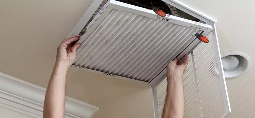 Our Insect Removal from Air Ducts Services in Cartersville, GA