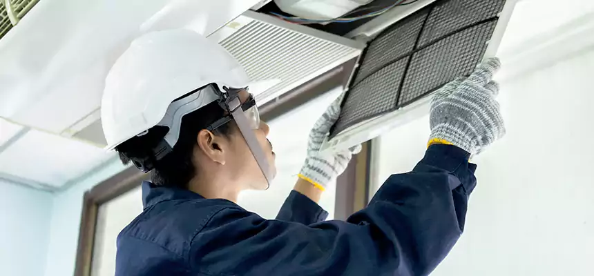 Our Mold & Mildew Removal from Air Ducts Services in Cartersville, GA