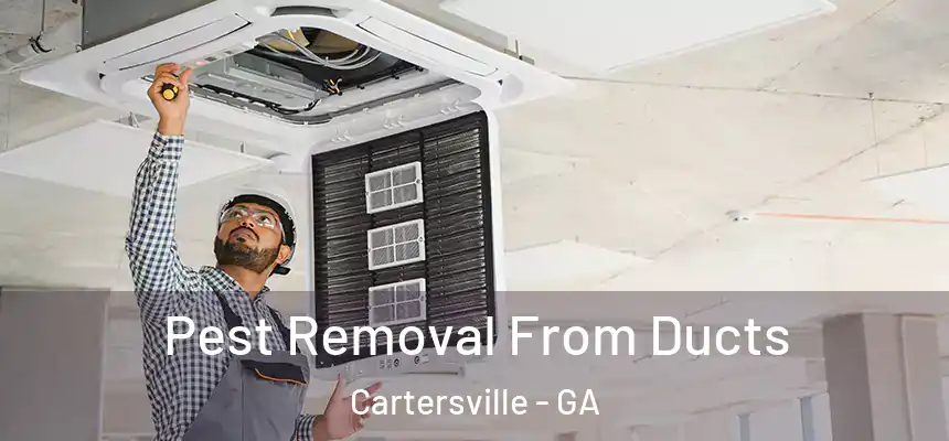  Pest Removal From Ducts Cartersville - GA