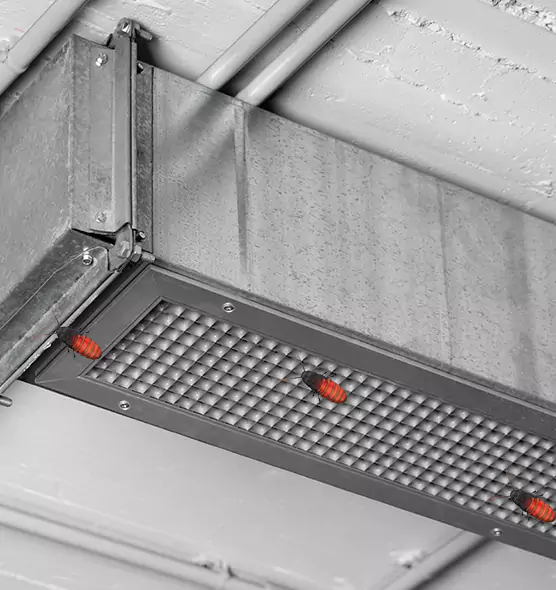 About Air Duct Cockroach Removal in Cartersville, GA