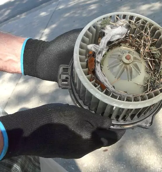 About Air Duct Mice Removal in Cartersville, GA