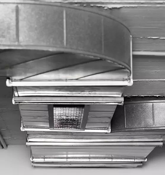 Professional Air Duct Pest Removal in Cartersville, GA