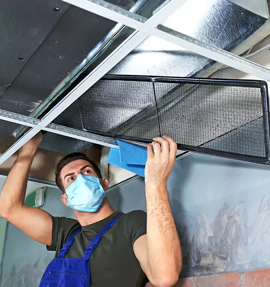 Professional Air Duct Pollen Cleaning in Cartersville, GA