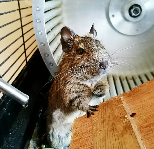 Why Homeowners & Businesses Trust Us Cartersville, GA?