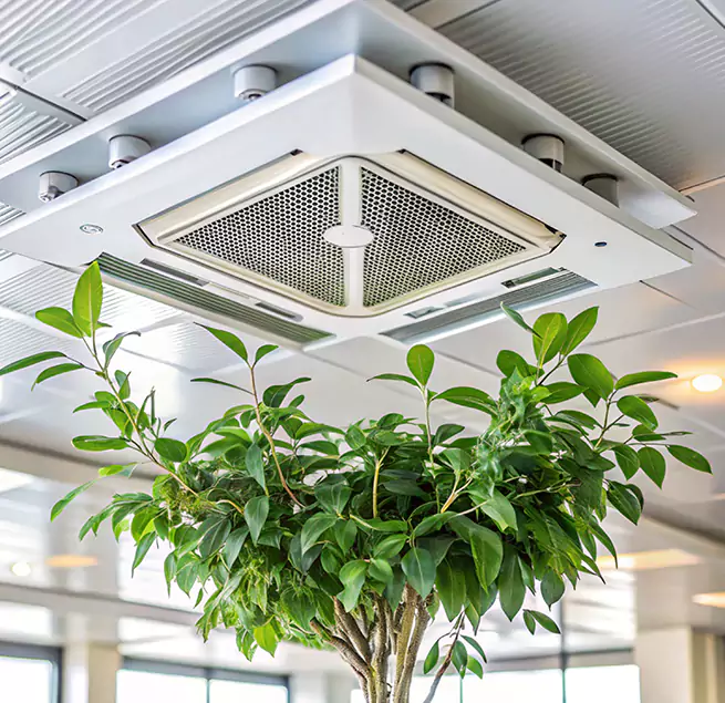 Why Homeowners & Businesses Trust Us in Cartersville, GA?