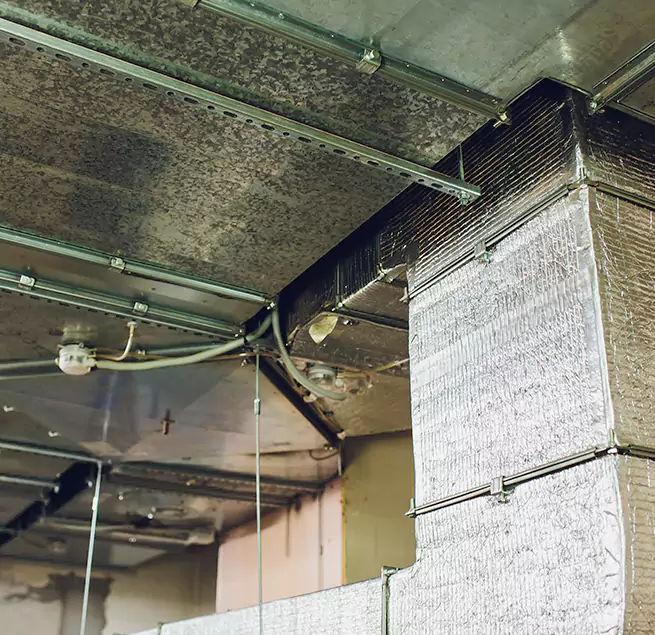 Why Homeowners & Businesses Trust Us in Cartersville, GA?